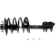 Purchase Top-Quality Front Complete Strut Assembly by EVOLUTION - V172268 pa4