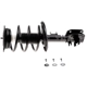 Purchase Top-Quality Front Complete Strut Assembly by EVOLUTION - V172393 pa3