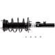 Purchase Top-Quality Assemblage de jambe de force avant complèt  de EVOLUTION - V172576 pa4