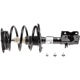 Purchase Top-Quality Front Complete Strut Assembly by EVOLUTION - V172906 pa4