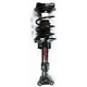 Purchase Top-Quality FCS AUTOMOTIVE - 1333049 - Front Complete Strut Assembly pa4