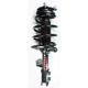 Purchase Top-Quality FCS AUTOMOTIVE - 1333503R - Front Complete Strut Assembly pa1