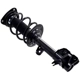 Purchase Top-Quality FCS AUTOMOTIVE - 1334055R - Suspension Strut and Coil Spring Assembly pa2