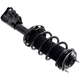 Purchase Top-Quality FCS AUTOMOTIVE - 1334086R - Suspension Strut and Coil Spring Assembly pa4