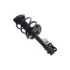 Purchase Top-Quality FCS AUTOMOTIVE - 1334099R - Strut Assembly pa2