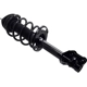 Purchase Top-Quality FCS AUTOMOTIVE - 1334125L - Suspension Strut and Coil Spring Assembly pa4
