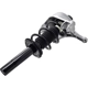Purchase Top-Quality FCS AUTOMOTIVE - 1335831R - Front Complete Strut Assembly pa10