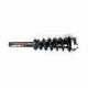 Purchase Top-Quality FCS AUTOMOTIVE - 1335906 - Front Complete Strut Assembly pa2