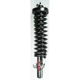 Purchase Top-Quality FCS AUTOMOTIVE - 1336321 - Front Complete Strut Assembly pa1