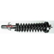 Purchase Top-Quality FCS AUTOMOTIVE - 1336321 - Front Complete Strut Assembly pa3