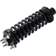 Purchase Top-Quality FCS AUTOMOTIVE - 1336329R - Front Complete Strut Assembly pa3