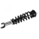 Purchase Top-Quality FCS AUTOMOTIVE - 1336334 - Front Complete Strut Assembly pa2