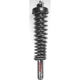 Purchase Top-Quality FCS AUTOMOTIVE - 1336337R - Front Complete Strut Assembly pa1