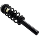 Purchase Top-Quality Front Complete Strut Assembly by FCS AUTOMOTIVE - 1337161 pa1