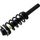 Purchase Top-Quality Front Complete Strut Assembly by FCS AUTOMOTIVE - 1337161 pa4