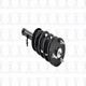 Purchase Top-Quality Front Complete Strut Assembly by FCS AUTOMOTIVE - 1345411L pa4