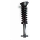 Purchase Top-Quality FCS AUTOMOTIVE - 1345469R - Front Complete Strut Assembly pa2