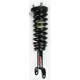 Purchase Top-Quality FCS AUTOMOTIVE - 1345556 - Front Complete Strut Assembly pa1