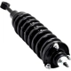 Purchase Top-Quality FCS AUTOMOTIVE - 1345566R -  Front Complete Strut Assembly pa6