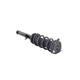 Purchase Top-Quality FCS AUTOMOTIVE - 1345879R - Front Complete Strut Assembly pa5