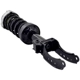 Purchase Top-Quality FCS AUTOMOTIVE - 1355039L - Suspension Strut and Coil Spring Assembly pa2