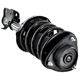 Purchase Top-Quality FCS AUTOMOTIVE - 2331762L - Suspension Strut and Coil Spring Assembly pa4