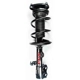 Purchase Top-Quality FCS AUTOMOTIVE - 2333296R - Front Complete Strut Assembly pa1