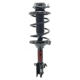 Purchase Top-Quality FCS AUTOMOTIVE - 2333816L - Suspension Strut and Coil Spring Assembly pa1
