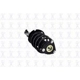 Purchase Top-Quality Assemblage de jambe de force avant compl�t  by FCS AUTOMOTIVE - 2335958R pa4