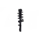Purchase Top-Quality FCS AUTOMOTIVE - 2337123 - Strut Assembly pa1