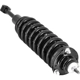 Purchase Top-Quality FCS AUTOMOTIVE - 2345566R - Front Complete Strut Assembly pa4