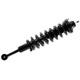 Purchase Top-Quality FCS AUTOMOTIVE - 3345566L - Suspension Strut and Coil Spring Assembly pa1