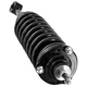Purchase Top-Quality FCS AUTOMOTIVE - 3345566R - Suspension Strut and Coil Spring Assembly pa3