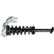 Purchase Top-Quality GSP NORTH AMERICA - 810002 - Suspension Strut and Coil Spring Assembly - Front Left pa1