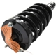 Purchase Top-Quality GSP NORTH AMERICA - 810080 - Suspension Strut and Coil Spring Assembly pa1