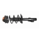 Purchase Top-Quality GSP NORTH AMERICA - 810095 - Suspension Strut and Coil Spring Assembly - Front Left pa3