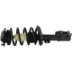 Purchase Top-Quality GSP NORTH AMERICA - 810334 - Suspension Strut and Coil Spring Assembly pa2