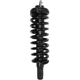 Purchase Top-Quality GSP NORTH AMERICA - 810335 - Suspension Strut and Coil Spring Assembly pa3