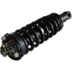 Purchase Top-Quality GSP NORTH AMERICA - 810352 - Suspension Strut and Coil Spring Assembly pa2