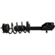 Purchase Top-Quality GSP NORTH AMERICA - 811003 - Suspension Strut and Coil Spring Assembly - Front Right pa2