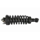 Purchase Top-Quality GSP NORTH AMERICA - 811029 - Suspension Strut and Coil Spring Assembly - Front pa1