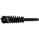 Purchase Top-Quality GSP NORTH AMERICA - 811334 - Suspension Strut and Coil Spring Assembly - Front pa3