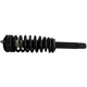 Purchase Top-Quality GSP NORTH AMERICA - 811347 - Suspension Strut and Coil Spring Assembly - Front pa2