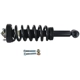 Purchase Top-Quality GSP NORTH AMERICA - 811369 - Suspension Strut and Coil Spring Assembly - Front Left pa2