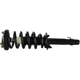 Purchase Top-Quality GSP NORTH AMERICA - 821011 - Suspension Strut and Coil Spring Assembly - Front Left pa2
