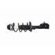 Purchase Top-Quality GSP NORTH AMERICA - 836001 - Suspension Strut and Coil Spring Assembly - Front Right pa1