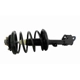 Purchase Top-Quality GSP NORTH AMERICA - 836116 - Suspension Strut and Coil Spring Assembly - Front Right pa3