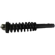 Purchase Top-Quality GSP NORTH AMERICA - 836216 - Suspension Strut and Coil Spring Assembly - Front Right pa2