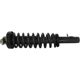 Purchase Top-Quality GSP NORTH AMERICA - 836316 - Suspension Strut and Coil Spring Assembly pa2