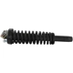 Purchase Top-Quality GSP NORTH AMERICA - 836318 - Suspension Strut and Coil Spring Assembly - Front Right pa2